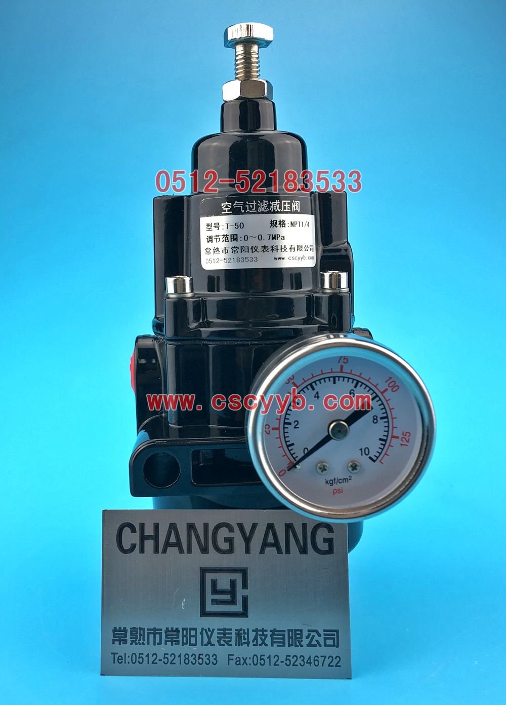 T50�^�V�p���y